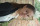 photo de profil d'un membre